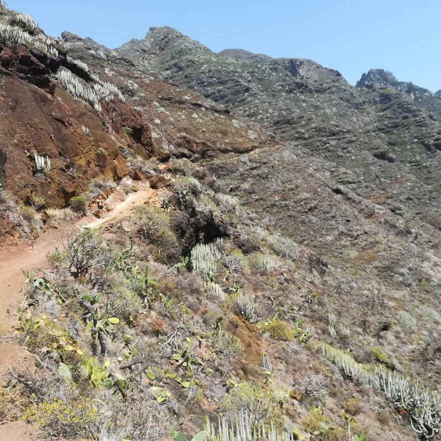 Tenerife Santa Cruz de Tenerife Ngoại thất bức ảnh