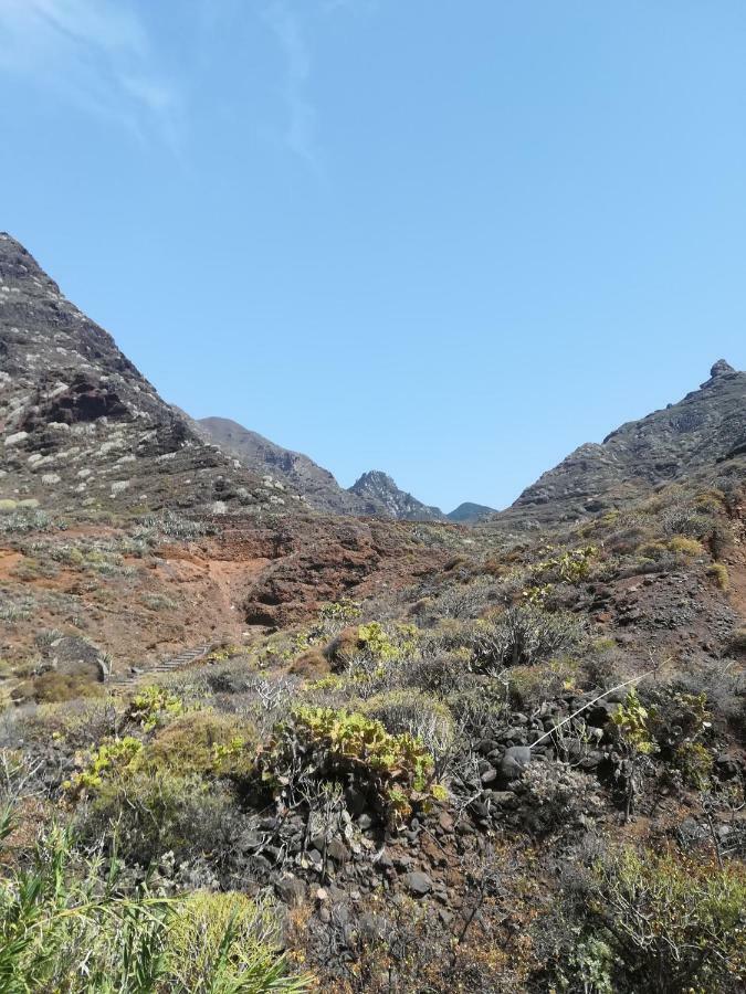 Tenerife Santa Cruz de Tenerife Ngoại thất bức ảnh
